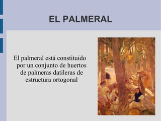 EL PALMERAL El palmeral está constituido por un conjunto de huertos de palmeras datileras de estructura ortogonal 