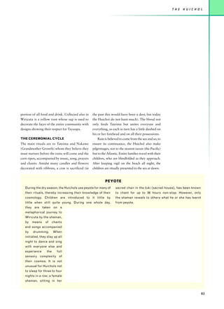 T H E   H U I C H O L




portion of all food and drink. Collected also in   the past this would have been a deer, but today
Wiricuta is a yellow root whose sap is used to     the Huichoi do not hunt much). The blood not
decorate the faces of the entire community with    only feeds Tateima but unites everyone and
designs showing their respect for Tayaupa.         everything, as each in turn has a little daubed on
                                                   his or her forehead and on all their possessions.
THE CEREMONIAL CYCLE                                   Rain is believed to come from the sea and so, to
The main rituals are to Tateima and Nakawe         ensure its continuance, the Huichol also make
(Grandmother Growth) whom they believe they        pilgrimages, not to the nearest ocean (the Pacific)
must nurture before the rains will come and the    but to the Atlantic. Entire families travel with their
corn ripen, accompanied by music, song, prayers    children, who are blindfolded as they approach.
and chants. Amidst many candles and flowers        After keeping vigil on the beach all night, the
decorated with ribbons, a cow is sacrificed (in    children are ritually presented to the sea at dawn.


                                                             PEYOTE
   During the dry season, the Huichols use peyote for many of        sacred chair in the tuki (sacred house), has been known
   their rituals, thereby increasing their knowledge of their        to chant for up to 36 hours non-stop. However, only
   cosmology. Children are introduced to it little by                the shaman reveals to others what he or she has learnt
   little when still quite young. During one whole day,              from peyote.
   they are taken on a
   metaphorical journey to
   Wiricuta by the shaman,
   by   means    of     chants
   and songs accompanied
   by   drumming.       When
   initiated, they stay up all
   night to dance and sing
   with everyone else and
   experience     the      full
   sensory complexity of
   their cosmos. It is not
   unusual for Huichols not
   to sleep for three to four
   nights in a row; a female
   shaman, sitting in her



                                                                                                                                83
 