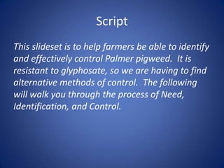 Script
This slideset is to help farmers be able to identify
and effectively control Palmer pigweed. It is
resistant to glyphosate, so we are having to find
alternative methods of control. The following
will walk you through the process of Need,
Identification, and Control.
 