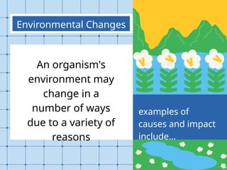 Sudden Environmental Changes Examples Understanding Ecosystem Dynamics: Causes and Impacts of Environmental ...