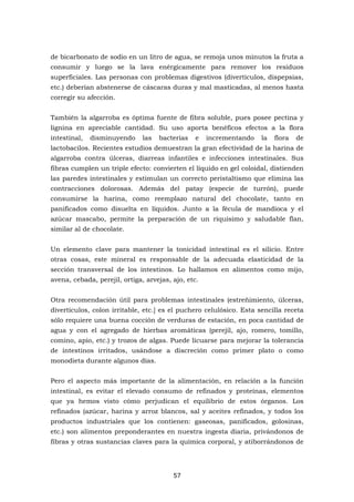 Palmetti, néstor   depuración corporal [pdf]