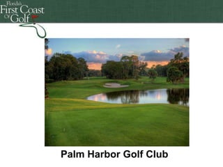 Florida's First Coast of Golf

Palm Harbor Golf Club

 