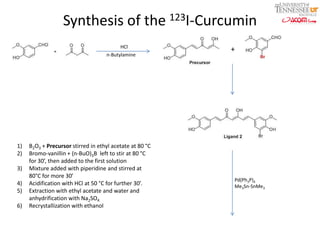 Synthesis of the 123I-Curcumin
HCl
n-Butylamine

1)
2)
3)
4)
5)
6)

B2O3 + Precursor stirred in ethyl acetate at 80 °C
Bromo-vanillin + (n-BuO)3B left to stir at 80 °C
for 30’, then added to the first solution
Mixture added with piperidine and stirred at
80°C for more 30’
Acidification with HCl at 50 °C for further 30’.
Extraction with ethyl acetate and water and
anhydrification with Na2SO4
Recrystallization with ethanol

+

Pd(Ph3P)4
Me3Sn-SnMe3

 
