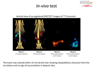In-vivo test
Ventral view of co-registered SPECT/CT images of 123I-Curcumin

Mouse 1

Mouse 2

Mouse 3

Mouse 4

15 min post injection

30 min post injection

60 min post injection
(no CT shown)

120 min post injection
(no CT shown)

The tracer was cleared within 15 min by the liver showing hepatobilliary clearance from the
circulation and no sign of accumulation in deposit sites.

 