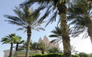 Palm Island Drive , Dubai