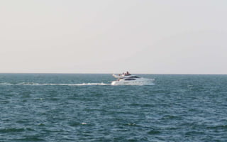 Palm Island Drive , Dubai