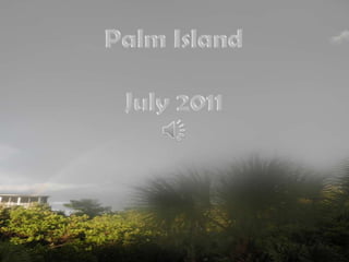 Palm Island July 2011 