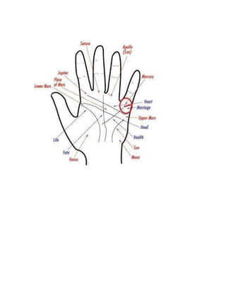 Palmistry hands lines with segment like mercury & freinds line .