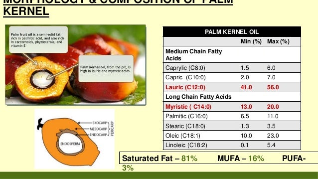 Palm kernel seed & oil
