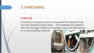 3.THRESHING
PURPOSE
Threshing or stripping is done to separate the sterilized fruits
from the sterilized bunch stalks. - The sterilized fruit together
with the fruit cage is lifted by a hoisting crane and then poured
on to the threshing machine.
 