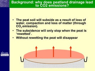 Palm Oil And Peat Training Module | PPT