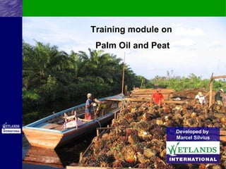Training module on  Palm Oil and Peat Developed by  Marcel Silvius 