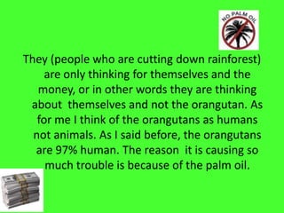 They (people who are cutting down rainforest) are only thinking for themselves and the money, or in other words they are thinking about  themselves and not the orangutan. As for me I think of the orangutans as humans not animals. As I said before, the orangutans are 97% human. The reason  it is causing so much trouble is because of the palm oil.