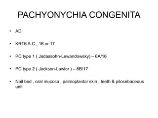PACHYONYCHIA CONGENITA
• AD
• KRT6 A-C , 16 or 17
• PC type 1 ( Jadassohn-Lewandowsky) – 6A/16
• PC type 2 ( Jackson-Lawler ) – 6B/17
• Nail bed , oral mucosa , palmoplantar skin , teeth & pilosebaceous
unit
 