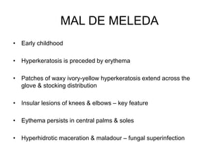MAL DE MELEDA
• Early childhood
• Hyperkeratosis is preceded by erythema
• Patches of waxy ivory-yellow hyperkeratosis extend across the
glove & stocking distribution
• Insular lesions of knees & elbows – key feature
• Eythema persists in central palms & soles
• Hyperhidrotic maceration & maladour – fungal superinfection
 