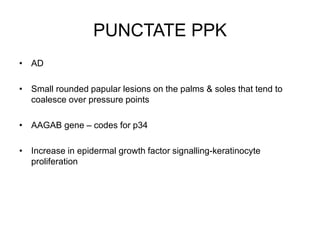 PUNCTATE PPK
• AD
• Small rounded papular lesions on the palms & soles that tend to
coalesce over pressure points
• AAGAB gene – codes for p34
• Increase in epidermal growth factor signalling-keratinocyte
proliferation
 