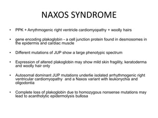 NAXOS SYNDROME
• PPK + Arrythmogenic right ventricle cardiomyopathy + woolly hairs
• gene encoding plakoglobin - a cell junction protein found in desmosomes in
the epidermis and cardiac muscle
• Different mutations of JUP show a large phenotypic spectrum
• Expression of altered plakoglobin may show mild skin fragility, keratoderma
and woolly hair only
• Autosomal dominant JUP mutations underlie isolated arrhythmogenic right
ventricular cardiomyopathy and a Naxos variant with leukonychia and
oligodontia
• Complete loss of plakoglobin due to homozygous nonsense mutations may
lead to acantholytic epidermolysis bullosa
 