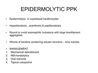 EPIDERMOLYTIC PPK
• Epidermolysis in suprabasal keratinocytes
• Hyperkeratosis , acanthosis & papillomatosis
• Round or ovoid eosinophilic inclusions with large tonofilament
aggregates
• Whorls of keratins containing tubular structure – tono tubules
• MANAGEMENT
1. Mechanical debridement
2. Mild keratolytics
3. Oral retinoids
4. Topical calcipotriol
 