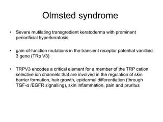 Olmsted syndrome
• Severe mutilating transgredient keratoderma with prominent
periorificial hyperkeratosis
• gain‐of‐function mutations in the transient receptor potential vanilloid
3 gene (TRp V3)
• TRPV3 encodes a critical element for a member of the TRP cation
selective ion channels that are involved in the regulation of skin
barrier formation, hair growth, epidermal differentiation (through
TGF‐α /EGFR signalling), skin inflammation, pain and pruritus
 