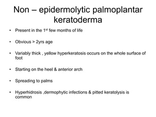 Non – epidermolytic palmoplantar
keratoderma
• Present in the 1st few months of life
• Obvious > 2yrs age
• Variably thick , yellow hyperkeratosis occurs on the whole surface of
foot
• Starting on the heel & anterior arch
• Spreading to palms
• Hyperhidrosis ,dermophytic infections & pitted keratolysis is
common
 