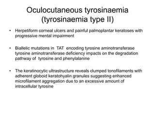 Oculocutaneous tyrosinaemia
(tyrosinaemia type II)
• Herpetiform corneal ulcers and painful palmoplantar keratoses with
progressive mental impairment
• Biallelic mutations in TAT encoding tyrosine aminotransferase
tyrosine aminotransferase deficiency impacts on the degradation
pathway of tyrosine and phenylalanine
• The keratinocytic ultrastructure reveals clumped tonofilaments with
adherent globoid keratohyalin granules suggesting enhanced
microfilament aggregation due to an excessive amount of
intracellular tyrosine
 