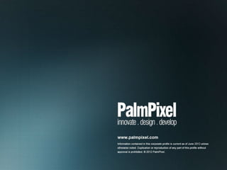 PalmPixel Company Profile