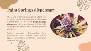 Palm Springs dispensary
The world of cannabis has come a long way
in recent years and nowhere is this more
evident than in...