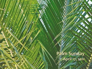 Palm SundayApril 17, 2011 