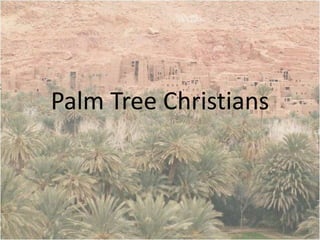 Palm Tree Christians 