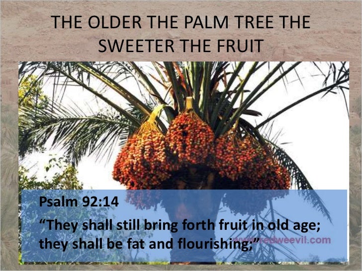 Image result for psalm 92:14 fat and flourishing