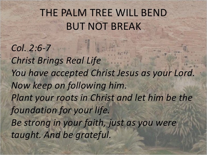 Palm tree christians
