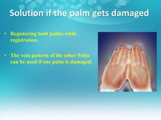 palm vein technology