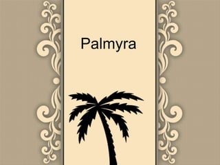 Palmyra

 