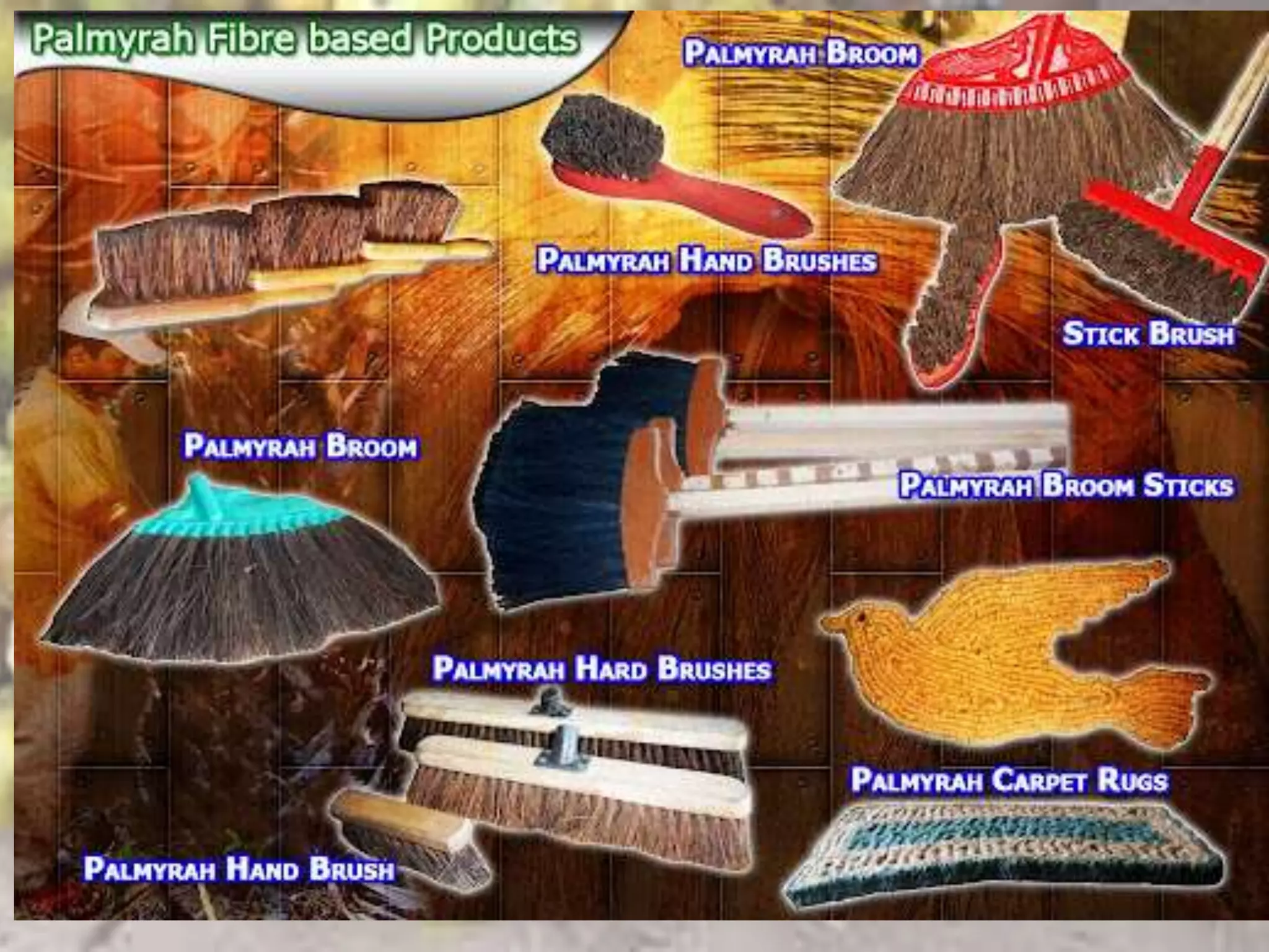 Palmyrah palm | PPTX