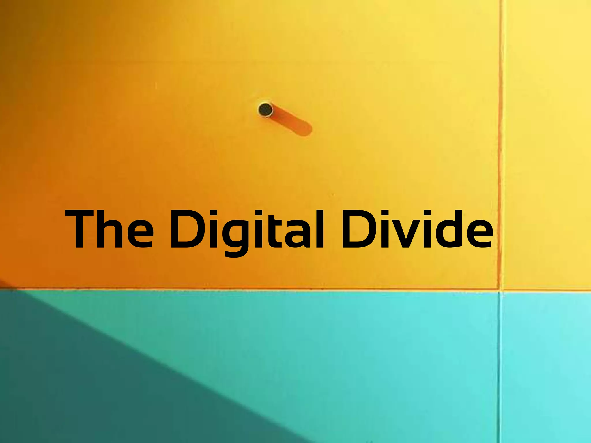 The Digital Divide
 