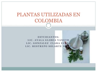 PLANTAS UTILIZADAS EN COLOMBIA  Estudiantes: LIC. Ayala Gloria Yaneth Lic. Gonzalez  Clara Elena LIC. Restrepo SolarteNefiz 