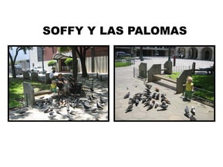 SOFFY Y LAS PALOMAS
 