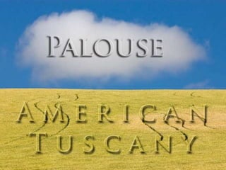 Palouse, american tuscany (v.m.)