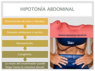 HIPOTONÍA ABDOMINAL
Disminución de tono y flacidez.

Después embarazo o ascitis.

Desnutrición.

Congénito.
La mano del examinador puede
llegar hasta la columna dorsal.

 