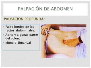 PALPACIÓN DE ABDOMEN

 Palpa bordes de los

rectos abdominales.
 Aorta y algunas partes
del colon.
 Mono o Bimanual

 
