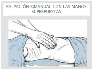 PALPACIÓN BIMANUAL CON LAS MANOS
SUPERPUESTAS

 