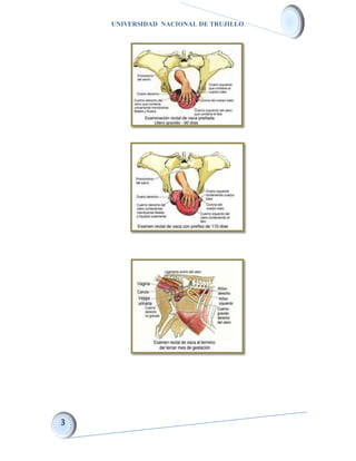 UNIVERSIDAD NACIONAL DE TRUJILLO
 