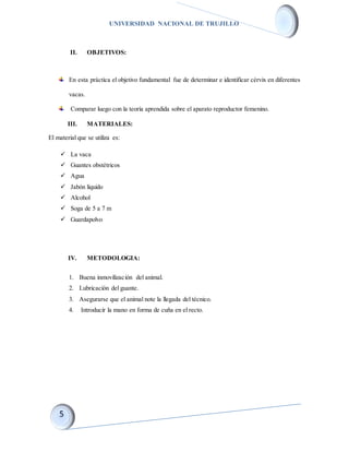 UNIVERSIDAD NACIONAL DE TRUJILLO
II. OBJETIVOS:
En esta práctica el objetivo fundamental fue de determinar e identificar cérvix en diferentes
vacas.
Comparar luego con la teoría aprendida sobre el aparato reproductor femenino.
III. MATERIALES:
El material que se utiliza es:
 La vaca
 Guantes obstétricos
 Agua
 Jabón liquido
 Alcohol
 Soga de 5 a 7 m
 Guardapolvo
IV. METODOLOGIA:
1. Buena inmovilización del animal.
2. Lubricación del guante.
3. Asegurarse que el animal note la llegada del técnico.
4. Introducir la mano en forma de cuña en el recto.
 