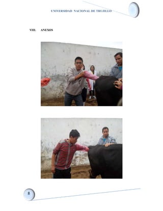 UNIVERSIDAD NACIONAL DE TRUJILLO
VIII. ANEXOS
 