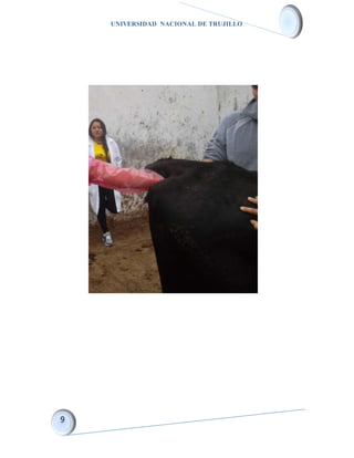 UNIVERSIDAD NACIONAL DE TRUJILLO
 