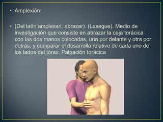Palpacion del torax exploracion fisica | PPTX