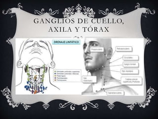 GANGLIOS DE CUELLO,
AXILA Y TÓRAX
 