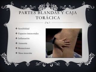 PARTES BLANDAS Y CAJA
TORÁCICA
 Sensibilidad
 Espacios intercostales
 Inflamación
 Asimetría
 Retracciones
 Masa muscular
 
