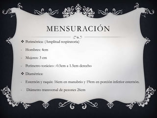 MENSURACIÓN
 Perimétrica: (Amplitud respiratoria)
- Hombres: 4cm
- Mujeres: 3 cm
- Perímetro torácico : 0.5cm a 1.5cm derecho
 Diamétrica:
- Esternón y raquis: 16cm en manubrio y 19cm en porción inferior esternón.
- Diámetro transversal de pezones 26cm
 