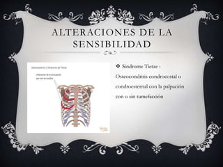 ALTERACIONES DE LA
SENSIBILIDAD
 Sindrome Tietze :
Osteocondritis condrocostal o
condroesternal con la palpación
con o sin tumefacción
 